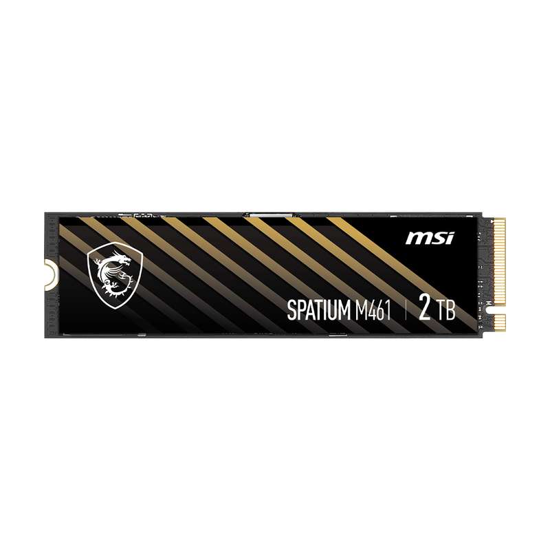 اس اس دی اینترنال PCIe Gen4 x4 ام اس آی مدل M461 ظرفیت 2 ترابایت اس اس دی اینترنال PCIe Gen4 x4 ام اس آی مدل M461 ظرفیت 2 ترابایت