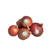 پیاز زرد اکوبیو -900 گرم