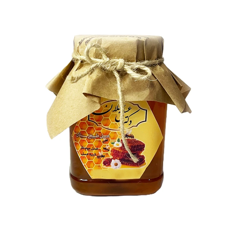 شهد عسل طبیعی اردبیل دکتر عسل سبلان - 1000 گرم