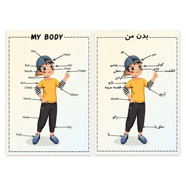 پوستر مدل آموزش اعضای بدن طرح پسر