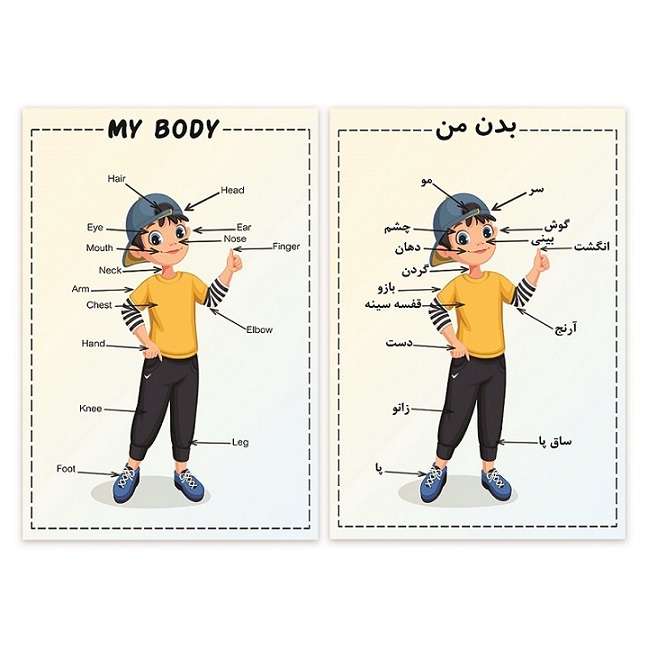 پوستر مدل آموزش اعضای بدن طرح پسر