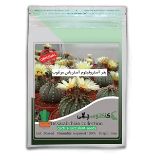 بذر آستروفیتوم آستریاس مرغوب کاکتوسچی مدل AM-015