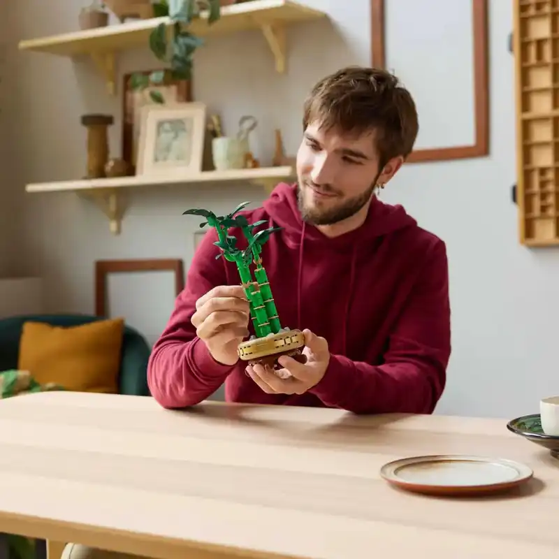 لگو سری بوتانیکال مدل Lucky Bamboo کد 10344