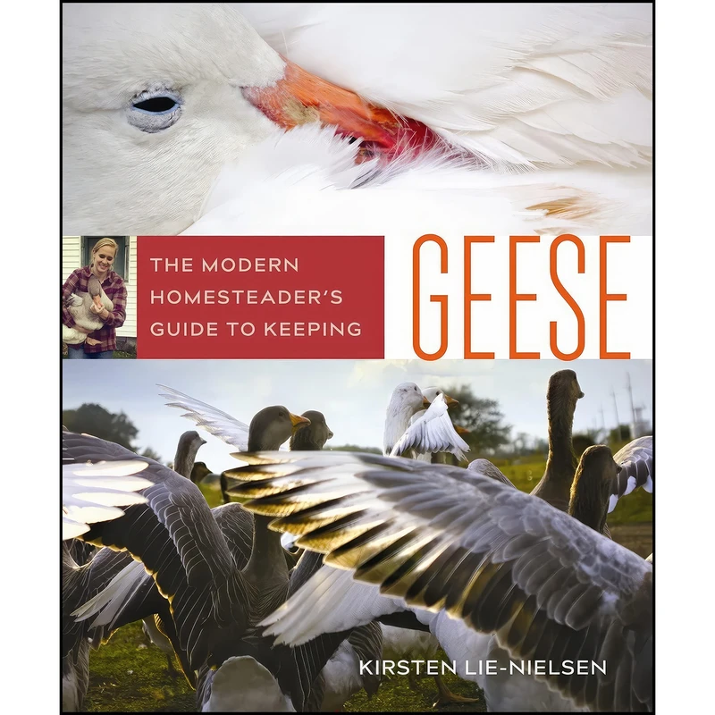 کتاب The Modern Homesteader's Guide to Keeping Geese اثر Kirsten Lie-Nielsen انتشارات New Society Publishers