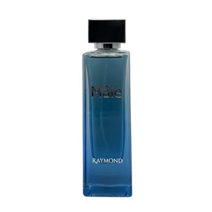 ادو پرفیوم مردانه رایموند مدل Male با رایحه خنک حجم 100 میلی لیتر
