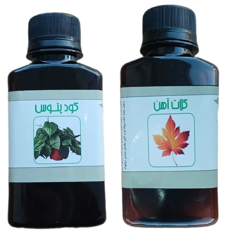 کود مایع کلات آهن و پتوس مدل life drop حجم 110 میلی لیتر