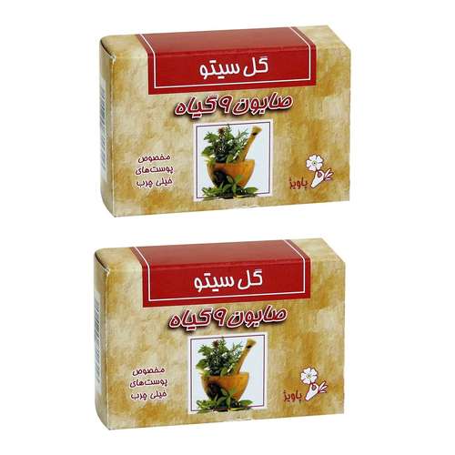 صابون شستشو گل سیتو مدل 9 گیاه وزن 125 گرم مجموعه 2 عددی