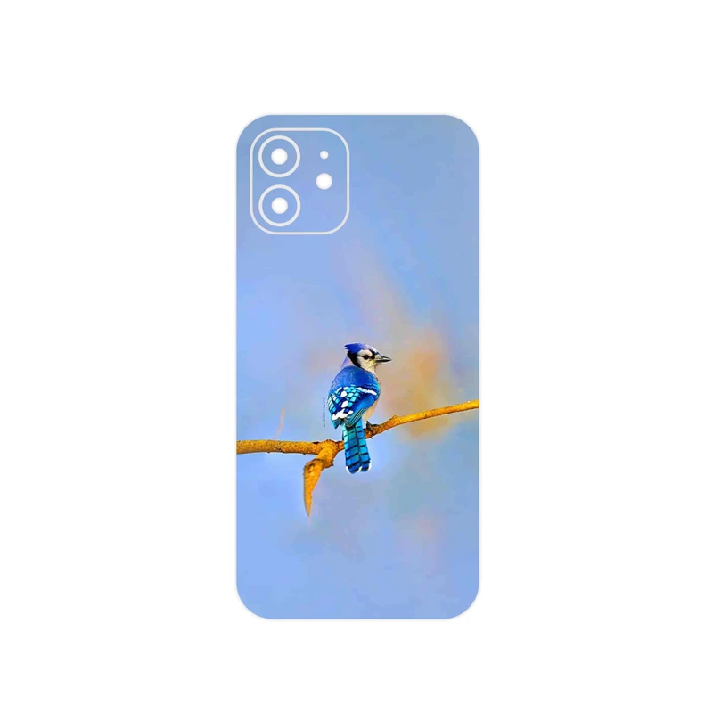 برچسب پوششی ماهوت مدل Cyanocitta cristata مناسب برای گوشی موبایل اپل iPhone 12