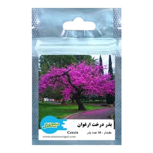 بذر درخت ارغوان منصوری گل کد Mcc50 وزن 2 گرم