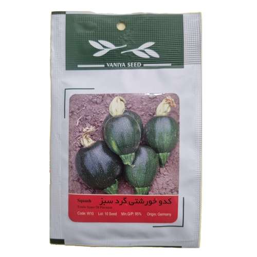 بذر کدو خورشتی گرد سبز وانیا سید مدل BA1430