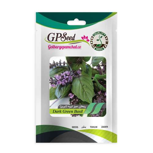 بذر ریحان سیاه گلبرگ پامچال کد GPF-210