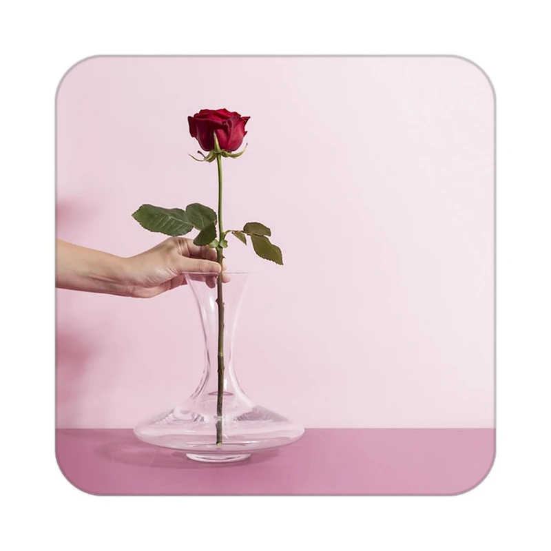 زیر لیوانی کاکتی طرح گل مدل mp19751