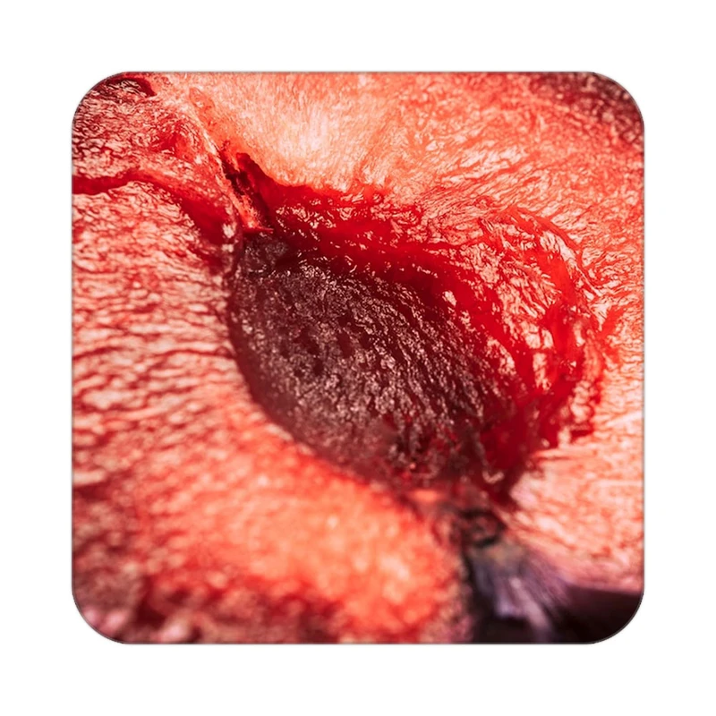 زیر لیوانی کاکتی طرح میوه مدل mp21575