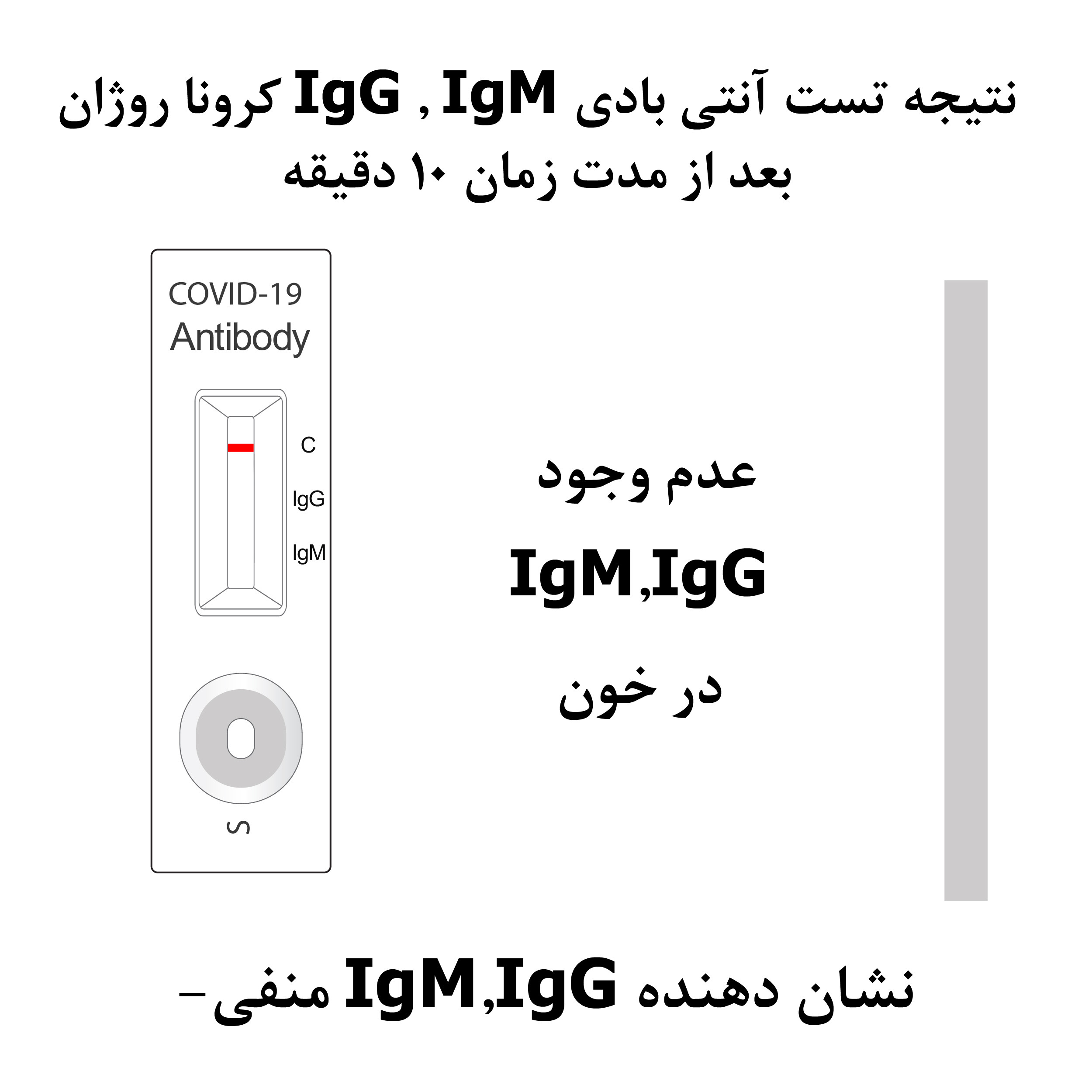 تست سریع آنتی بادی مدل IgG IgM بسته 3 عددی