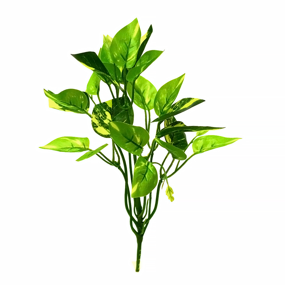 گیاه تزیینی آکواریوم مدل بوته برگ لمسی پتوس 2001