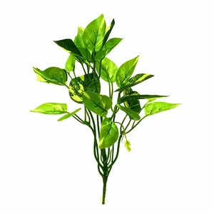 گیاه تزیینی آکواریوم مدل بوته برگ لمسی پتوس 2001