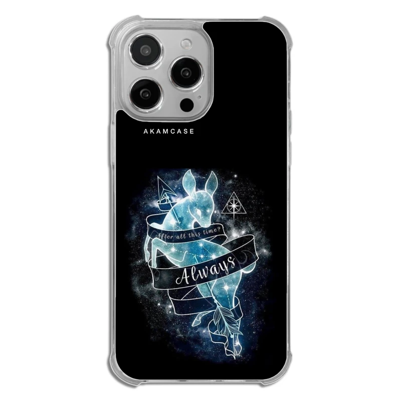 کاور آکام مدل AMCWTA14PROMAX-HARRY POTTER2 مناسب برای گوشی موبایل اپل iPhone 14 Pro Max