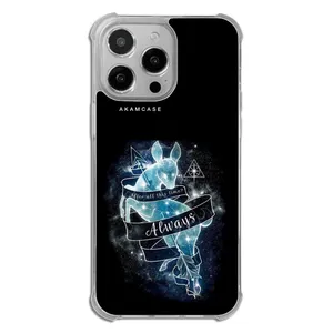 AKAM AMCWTA14PROMAX-HARRY POTTER2 Cover For Apple iPhone 14 Pro Max
