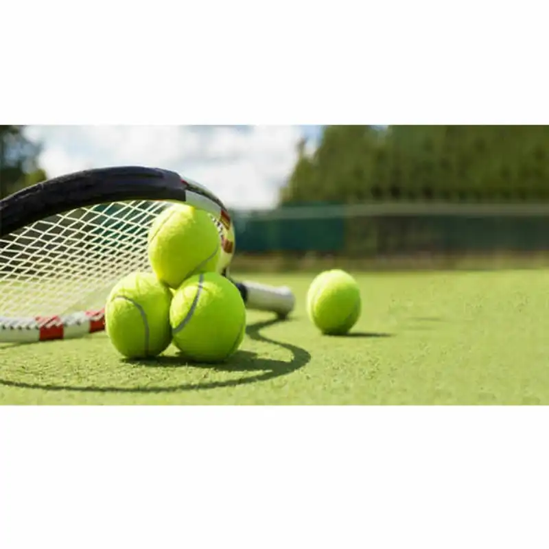 توپ تنیس مدل WELKIN 919