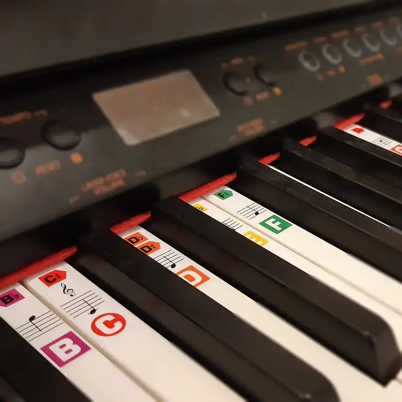 استیکر نت پیانو و کیبورد مدل PSM