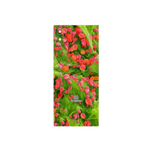 MAHOOT Atom Universe 3 Cover Sticker for Sony Xperia XA1