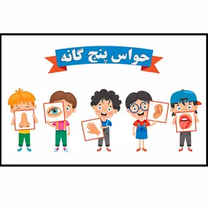 کاغذ چسب دار مدل حواس پنج گانه کد 001
