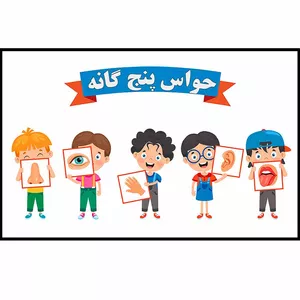 پوستر آموزشی مدل حواس پنج گانه کد 003