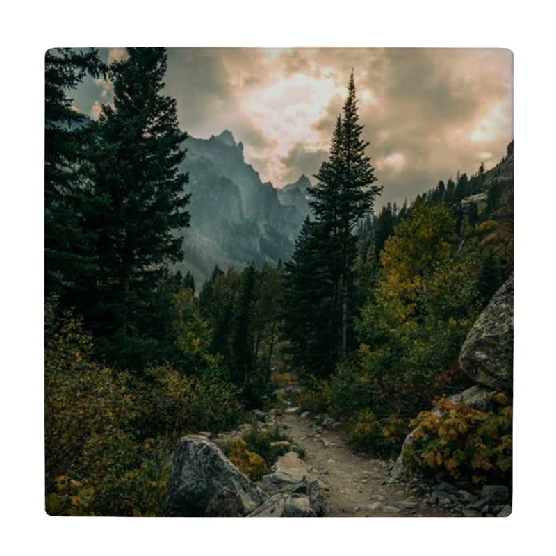  زیر لیوانی طرح جنگل کوهستانی کد    3670438_1664