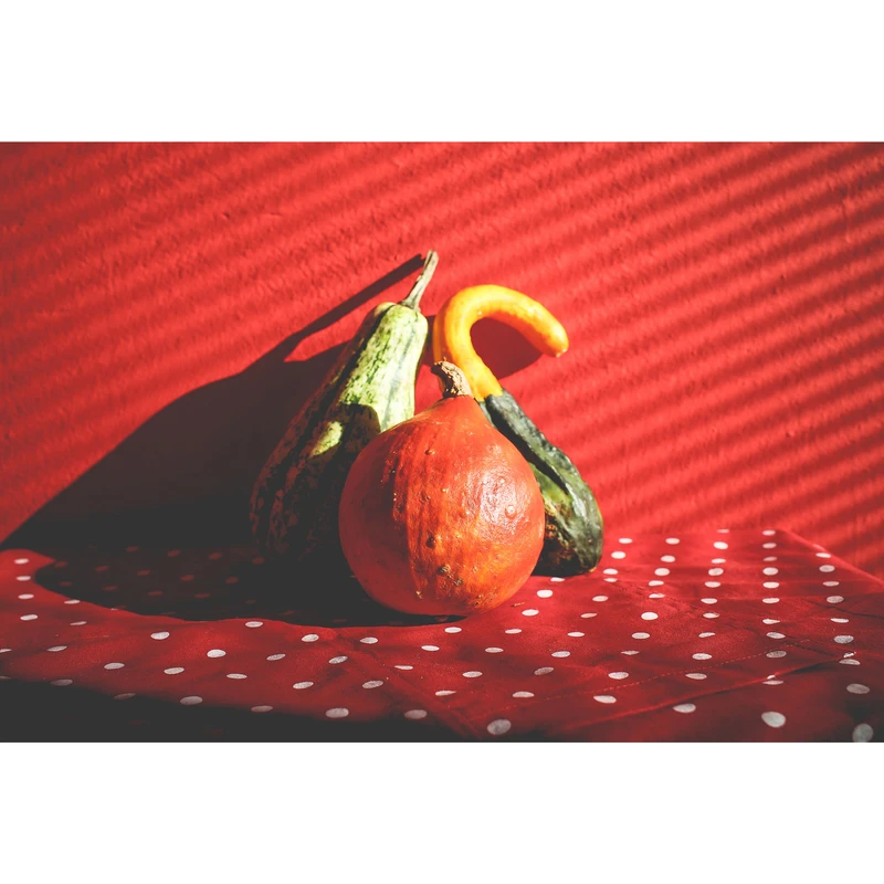 مگنت طرح کدو تنبل مدل T1767