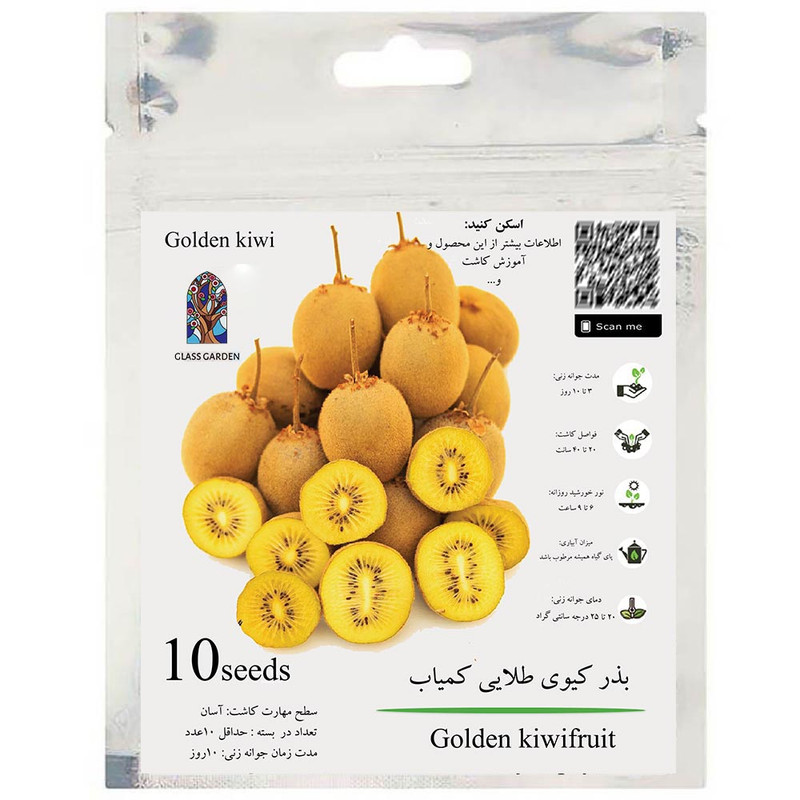 بذر میوه کیوی طلایی گلد گلس گاردن مدل GL10