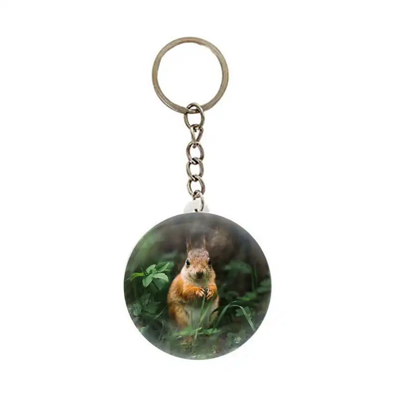 جاکلیدی عرش مدل فانتزی سنجاب کد Asj6104