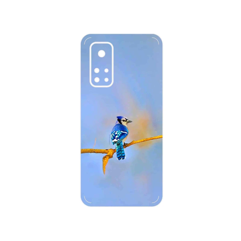 برچسب پوششی ماهوت مدل Cyanocitta cristata مناسب برای گوشی موبایل شیائومی Mi 10T Pro 5G