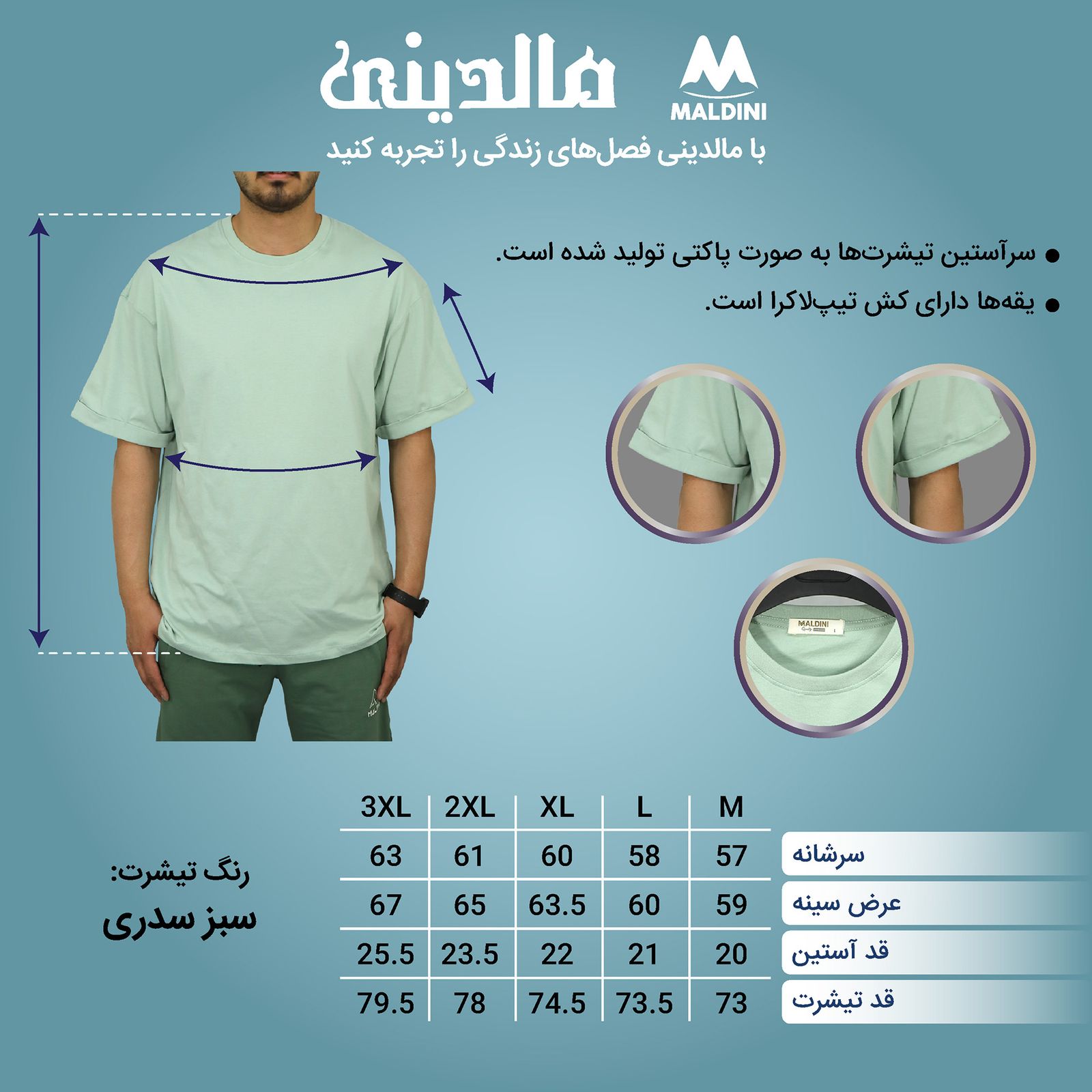 تی شرت اورسایز مردانه مالدینی مدل T-365 -  - 4