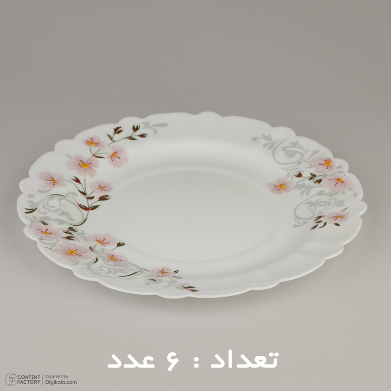 سرويس 25 پارچه آیروپال کلاسيک مدل لي لا ورژن 2