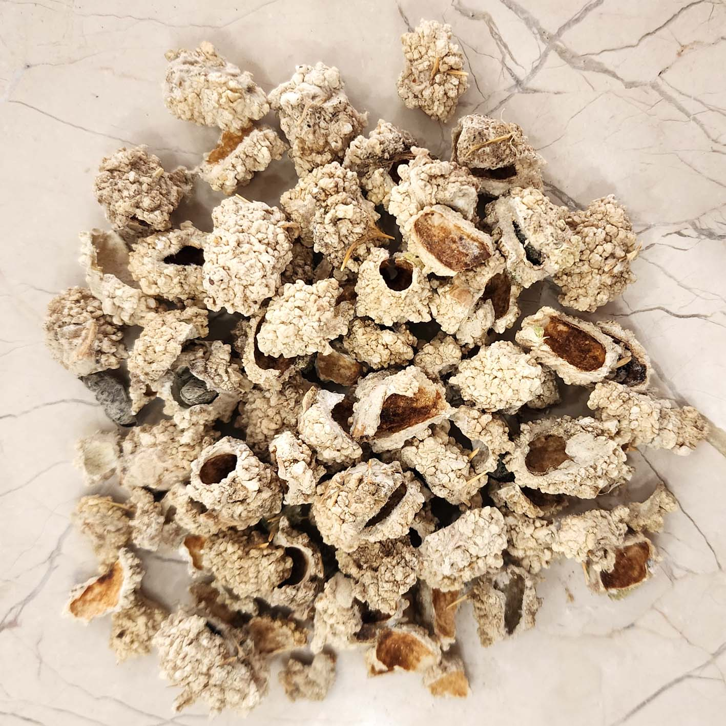 شکرتیغال روحبخش- 50 گرم