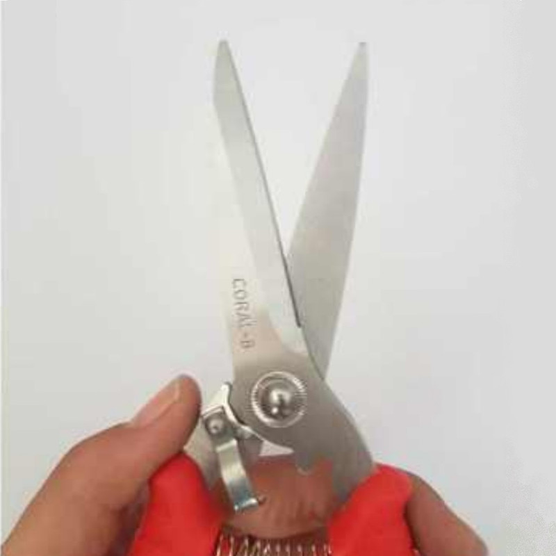 قیچی باغبانی کورال مدل آروین سالیان