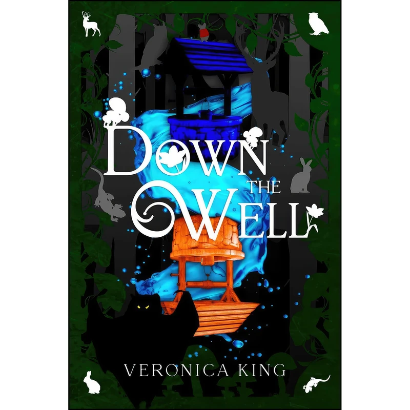 کتاب Down The Well  اثر Veronica King انتشارات Emerge
