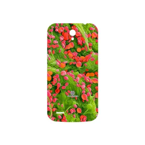 MAHOOT Atom Universe 3 Cover Sticker for Huawei Ascend G610