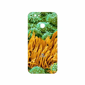 MAHOOT Atom Universe 6 Cover Sticker for Huawei Y6 Prime 2018