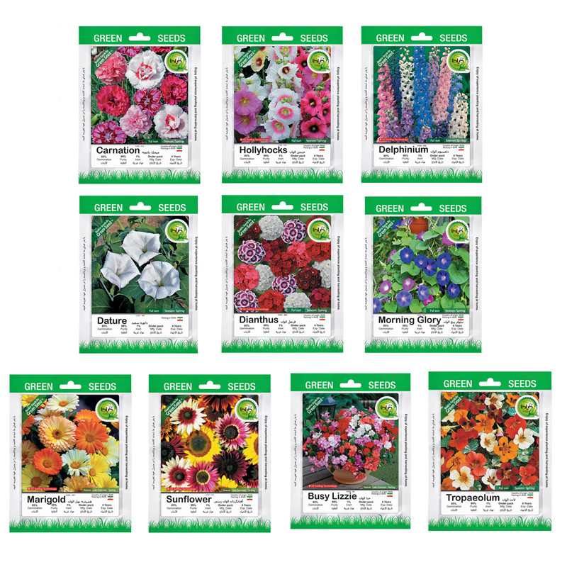 بذر گل های با رویش آسان گیلدا کد 093 مجموعه 10 عددی