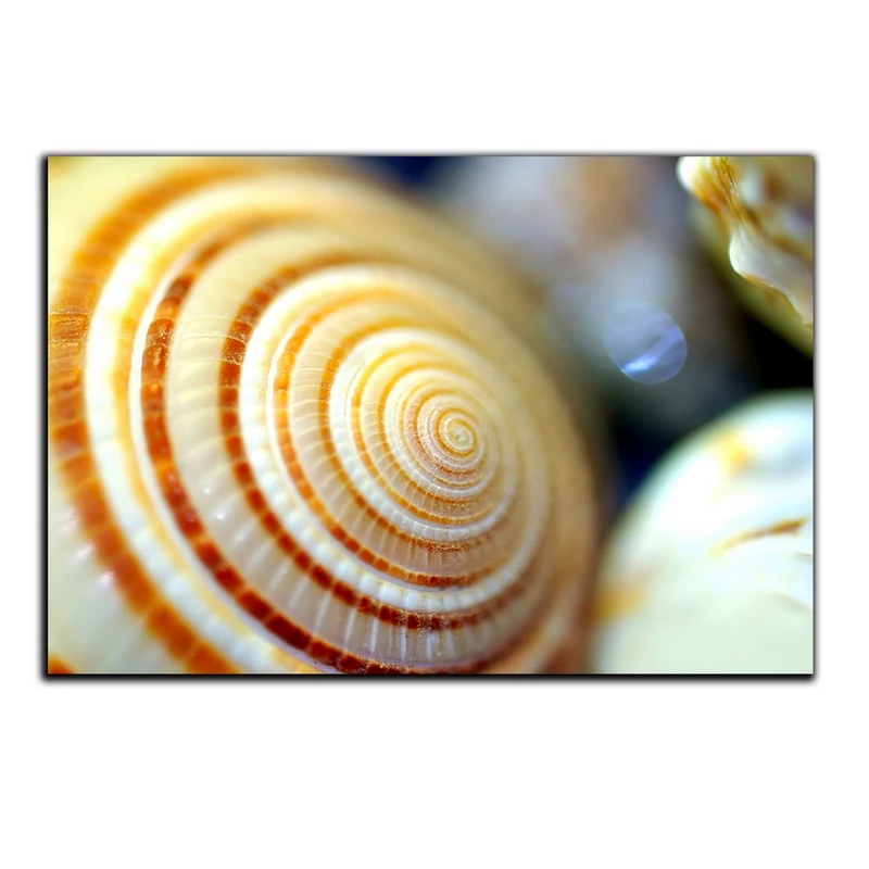 تابلو شاسی بکلیت طرح صدف مدل SH-s1628