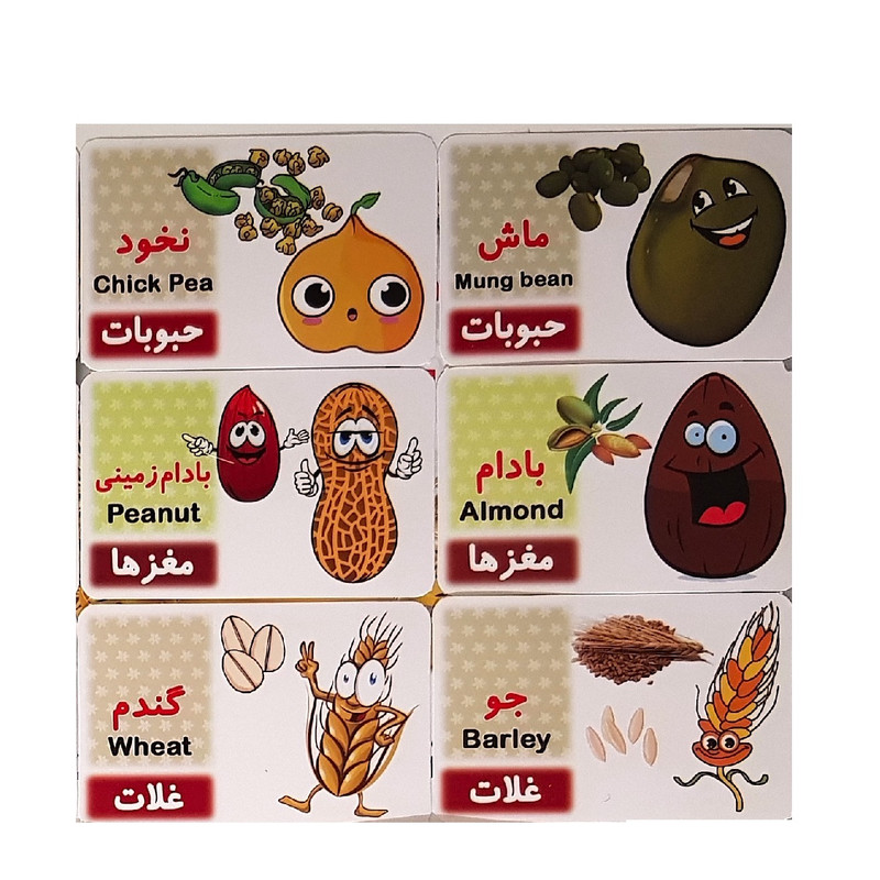 بازی آموزشی مدل غلات، حبوبات و مغزها کد BA12 مجموعه 17 عددی