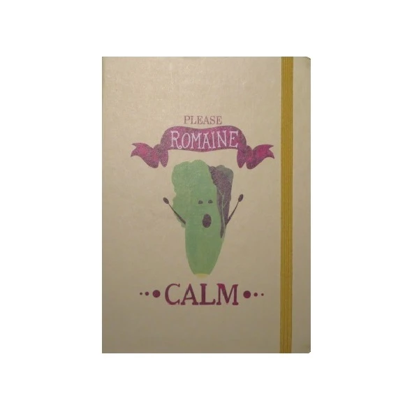 دفتر یادداشت 100 برگ مدل کش دار کد 4-123