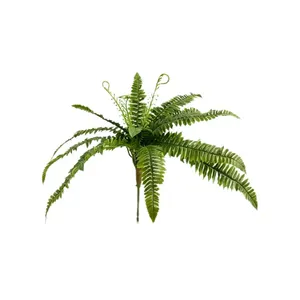 بوته سرخس مدل مصنوعی