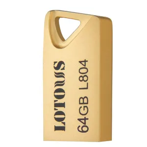LOTOUS L804 Flash Memory 64GB