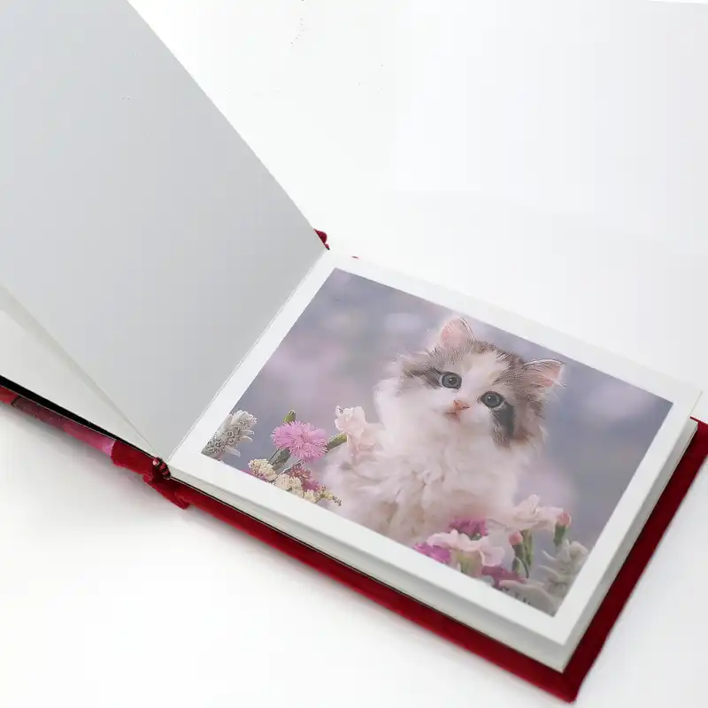 آلبوم خاطرات کودک مدل دختر کفشدوزکی 20