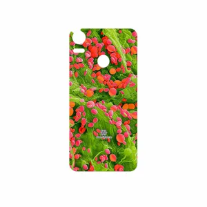 MAHOOT Atom Universe 3 Cover Sticker for HTC Desire 10 Pro