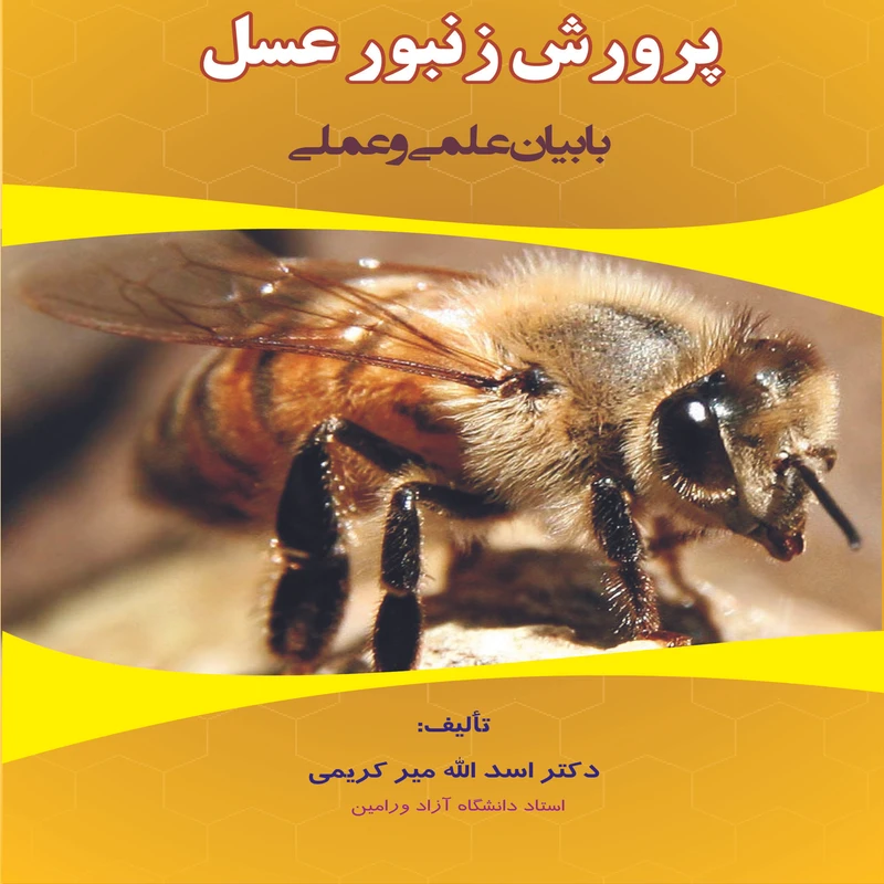 عکس شماره 2