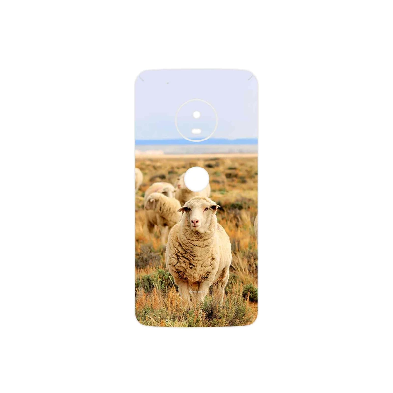 برچسب پوششی ماهوت مدل Sheep مناسب برای گوشی موبایل موتورولا Moto G5 Plus