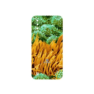 MAHOOT Atom Universe 6 Cover Sticker for Samsung Galaxy M01